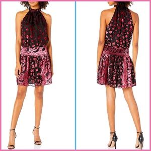 🏷 🆕 Ramy Brook Velvet Floral Short Naima Dress